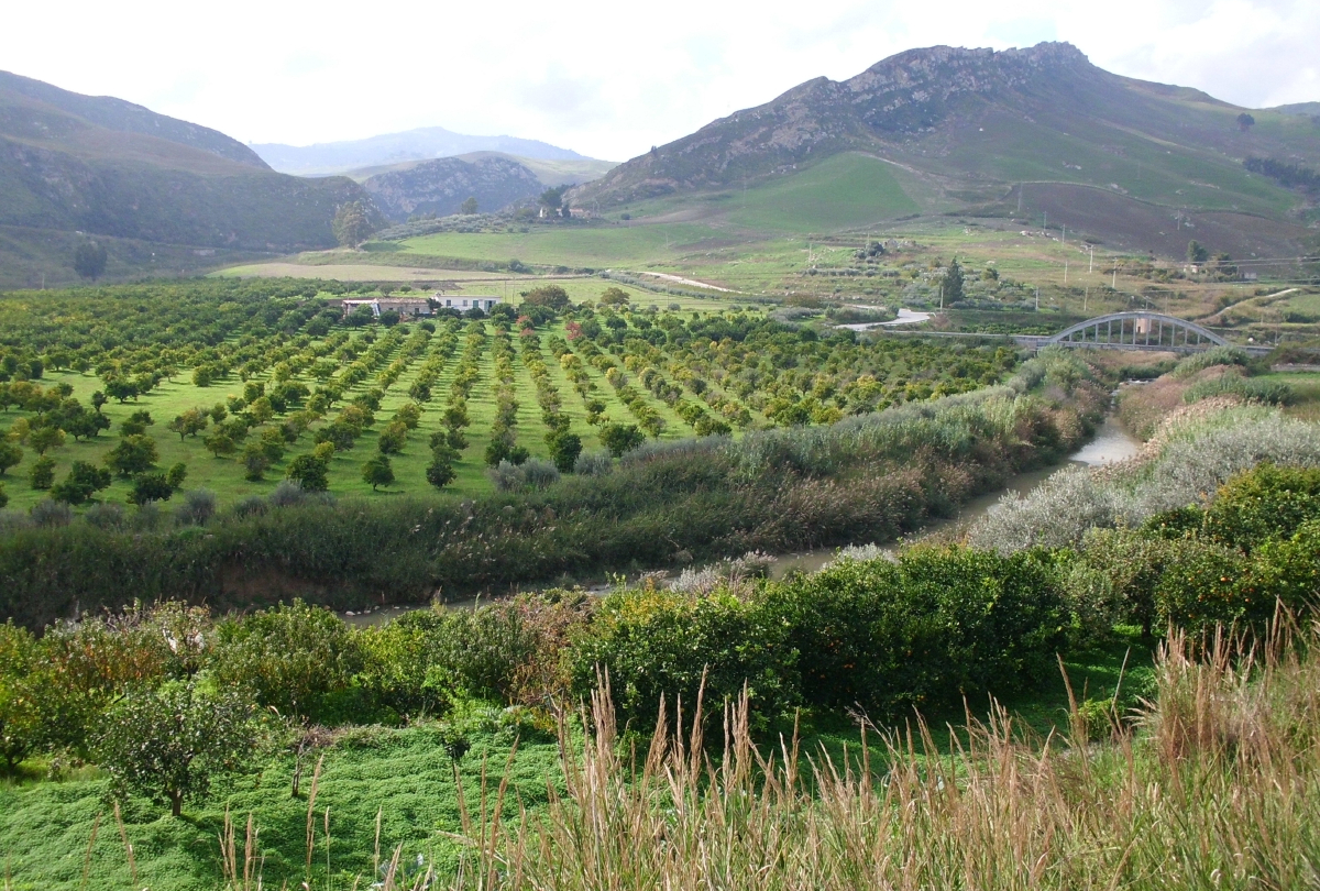 Farms in Sicily.